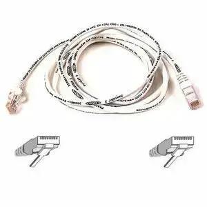 Belkin Cat5e Patch Cable White 04 – High-Speed Ethernet Network Connection for LANs and Internet by Belkin International, Inc