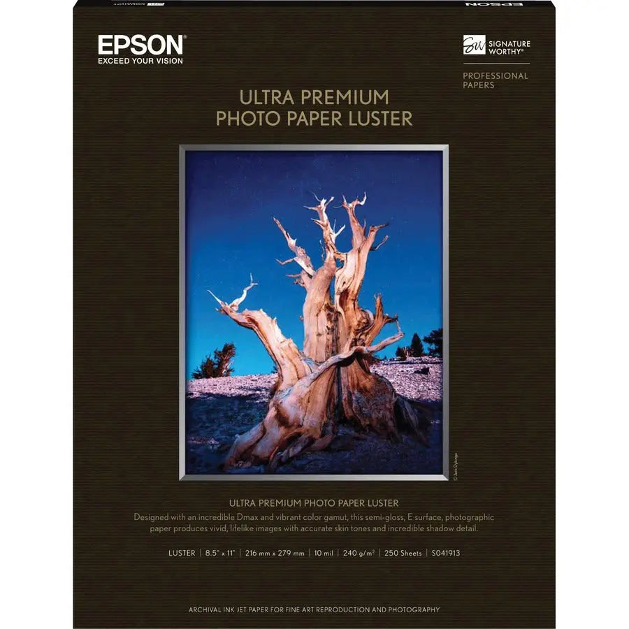 Epson Premium Photo Paper S041913 - Luster Finish for Vibrant Prints