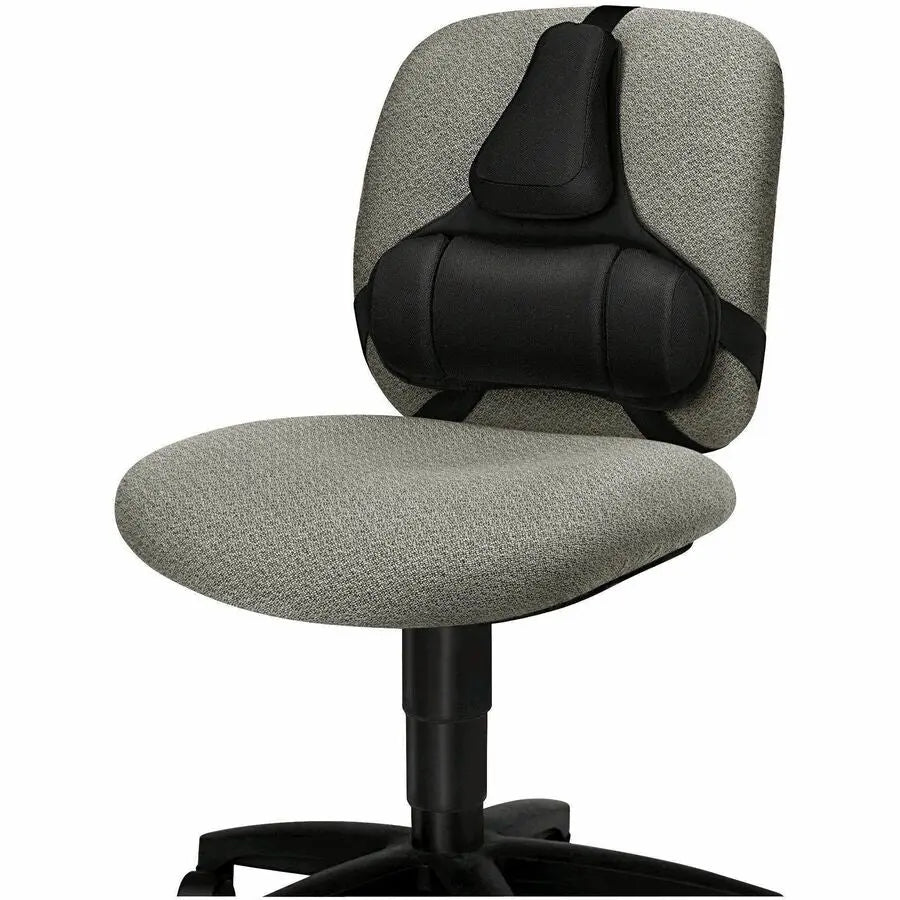 Fellowes Professional Series Microban Back Support for Office Chairs