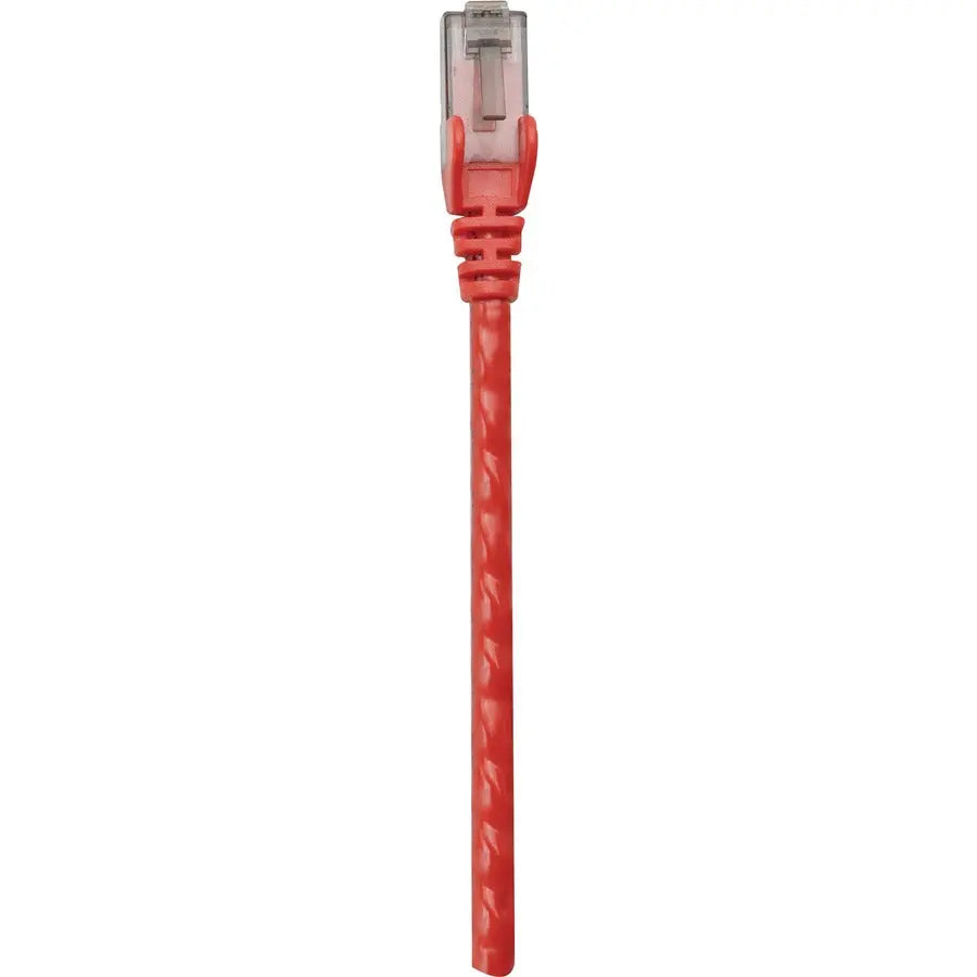 Intellinet Cat6 UTP Network Patch Cable, 1 ft, Red - RJ-45 Male to RJ-45 Male