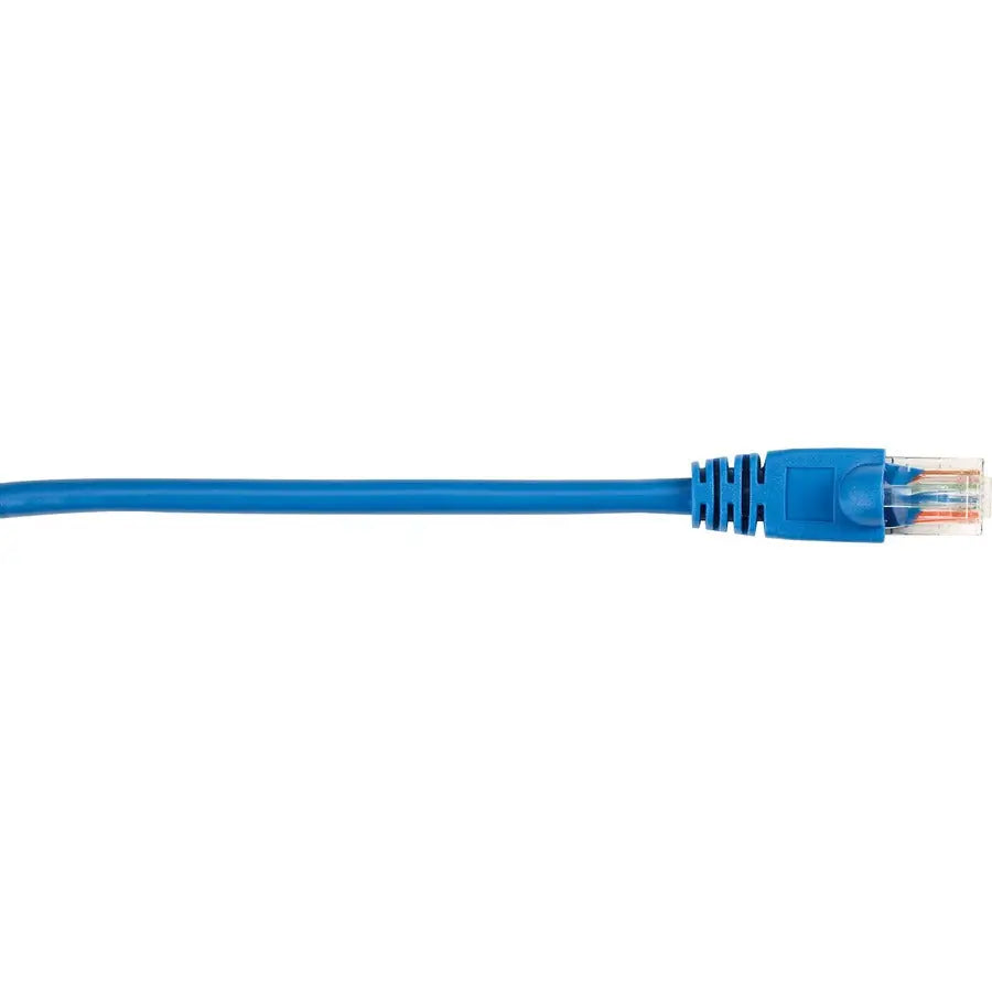 Black Box Connect Cat.5e UTP Patch Network Cable - 3 ft Blue