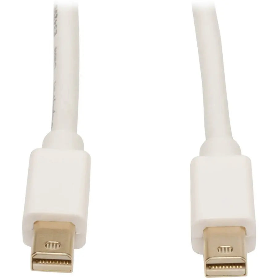 10FT MINI DPORT TO MINI DPORT  CABL