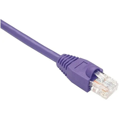 Unirise Cat.5e Patch Network Cable - 50 ft Purple with RJ-45 Connector