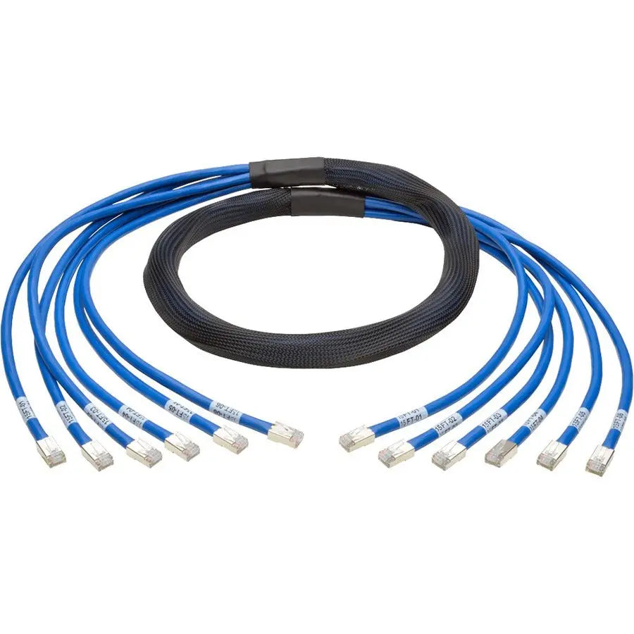 Eaton Tripp Lite Series N261-010-6MM-BL Cat6a Patch Network Cable – 10 Feet, Blue