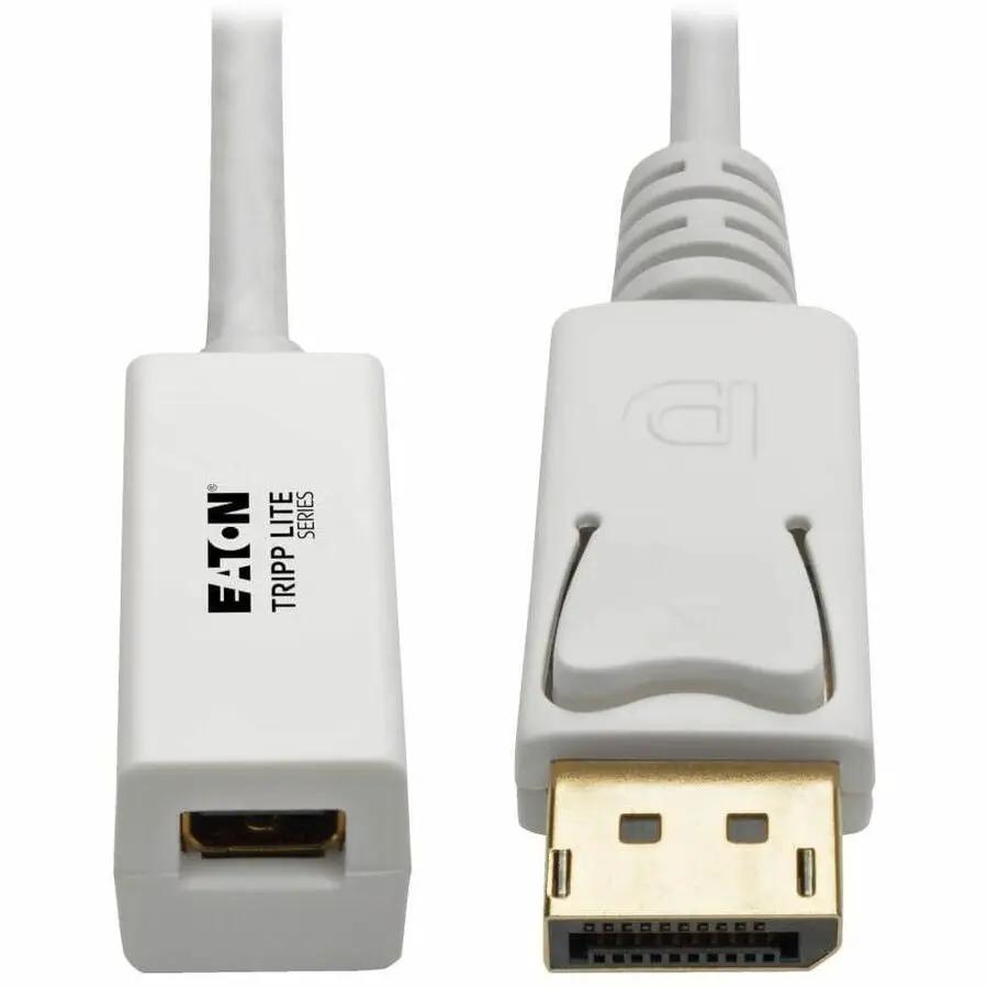 Eaton Tripp Lite Series P134-06N-MDP DisplayPort to Mini DisplayPort Cable Adapter, 6 inches by EATON TRIPP LITE SERIES CONNECTIVIT
