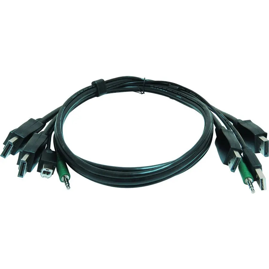iPGARD 6 ft KVM USB Dual DisplayPort Cable with Audio by Smart Audio Video Innovation