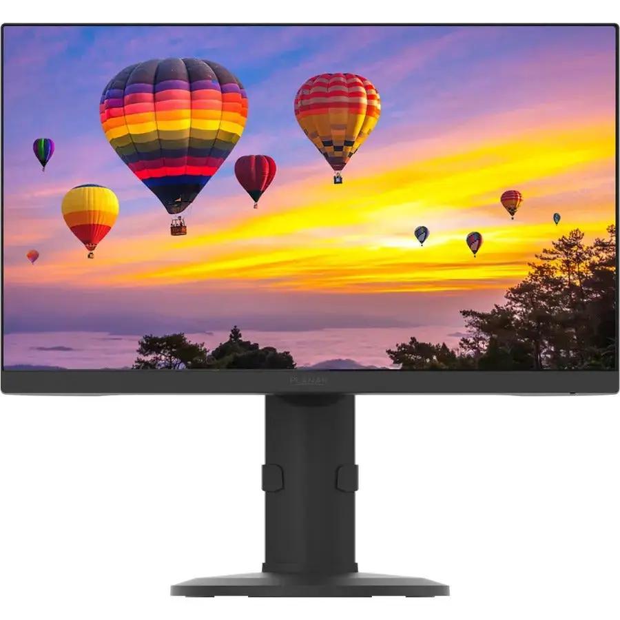 Planar PZN2410 24-Inch Full HD IPS LED LCD Monitor with HDMI, DisplayPort, VGA, and USB 3.0 Hub by PLANAR SMALL FORMAT