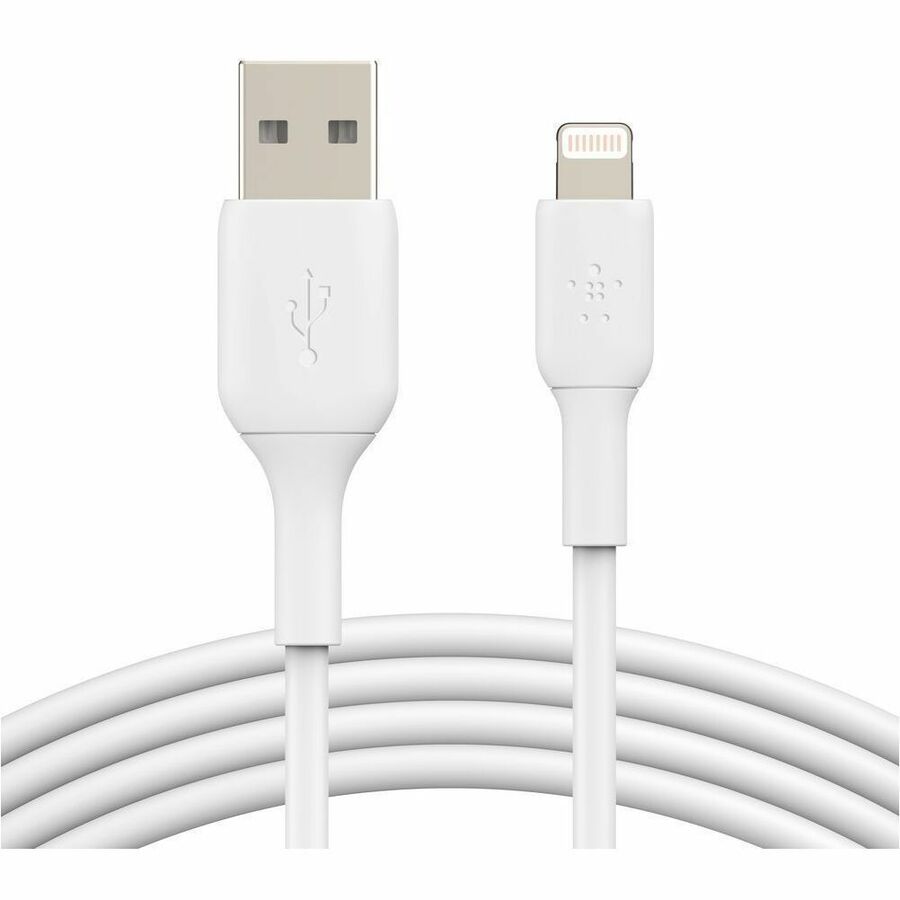 Belkin BOOST&uarr;CHARGE Lightning to USB Data Transfer Cable - Fast Data Sync & Charging