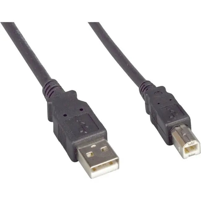 ENET USB 2.0 A Male to B Male 10FT Black Data Transfer Cable by NSI Industries