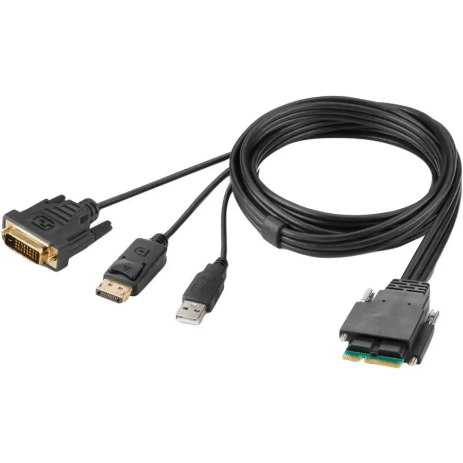 Belkin Modular DVI and DisplayPort Dual-Head Host Cable, 6 ft.