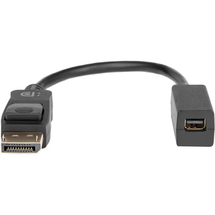 Rocstor Premium DisplayPort to Mini DisplayPort Adapter Y10C270-B1 – 6 Inch High-Resolution Compatible Cable