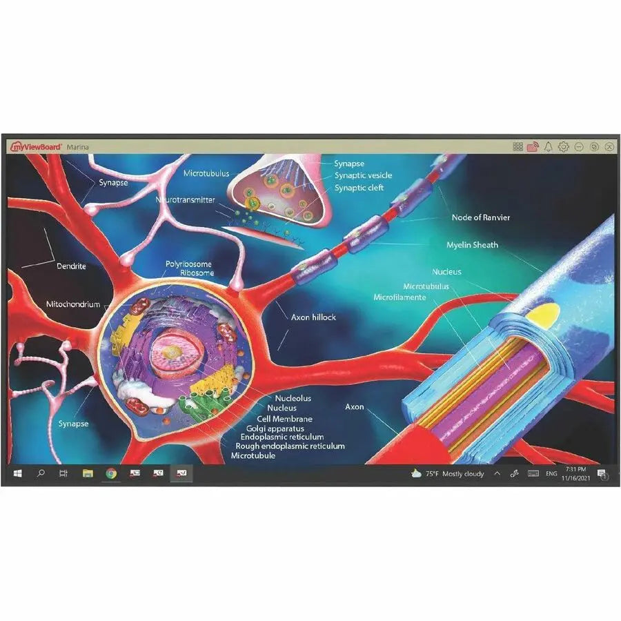 TEAMJOIN TRS10 WITH DISPLAY    PERP