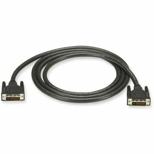 Black Box DVI-D Dual-Link Cable - Male to Male for High-Resolution Digital Video