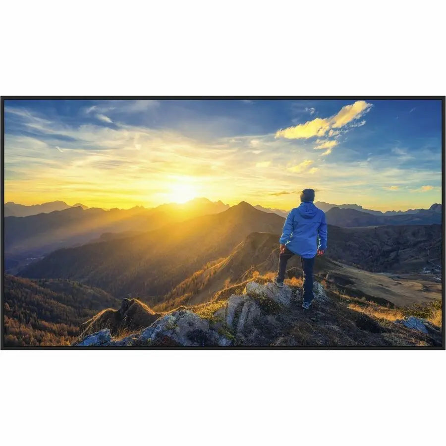 Sharp PN-E329 32-Inch Full HD Digital Signage Display with HDMI and USB-C