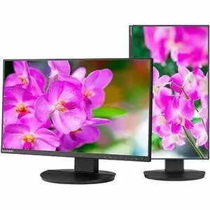 Sharp MultiSync DD-EA241F 24-Inch Full HD LED Monitor with IPS Panel and Ergonomic Stand