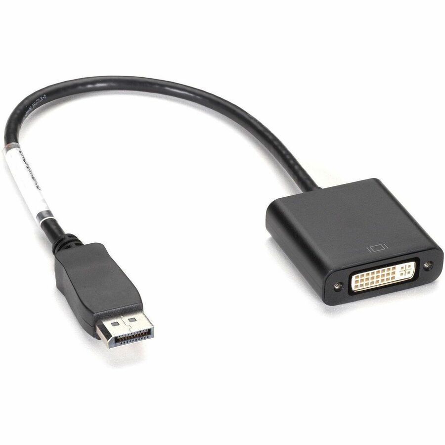 Black Box DisplayPort to DVI-D Adapter - Male/Female EVNDPDVI-MF-R4