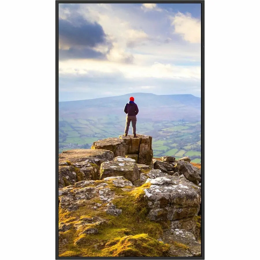 Sharp PN-E559 55-Inch 4K UHD Professional Digital Signage Display for Commercial Use
