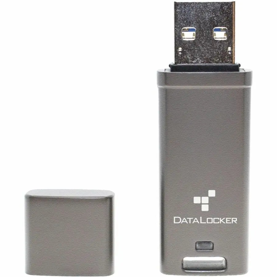 DataLocker DL GO 64GB USB 3.2 Flash Drive with Hardware Encryption and Biometric Security