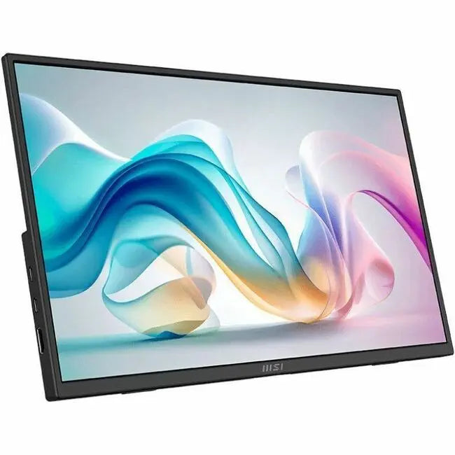 MSI Pro MP165 E6 Portable 15.6-inch FHD IPS Monitor with USB-C and VESA Mount