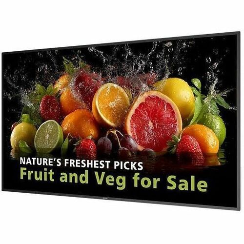 Philips Signage Solutions 5000 Series 65-Inch 4K UHD Android Digital Signage Display Model 65BDL5050D