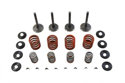 Sifton Nitrate Valve and Spring Kit for Harley-Davidson Shovelhead FL Models