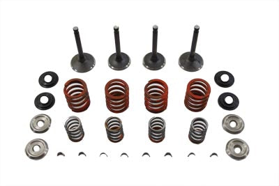 Sifton Nitrate Valve and Spring Kit for Harley Davidson Shovelhead Models