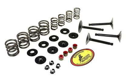 Kibblewhite Valve and Spring Kit for Harley Davidson FL 1966-1975 by Kibblewhite