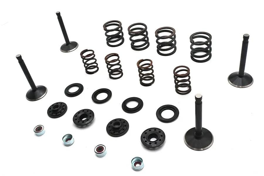 Kibblewhite Valve and Spring Kit for Harley Davidson FL and FX Models - Part 20-22550 by Kibblewhite