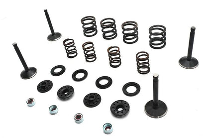Kibblewhite Valve and Spring Kit for Harley Davidson FL and FX Models - Part 20-22550 by Kibblewhite
