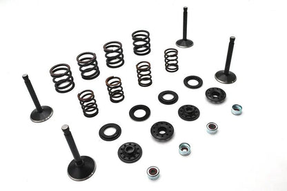 Kibblewhite Valve and Spring Kit for Harley Davidson FL and FX Models - Part 20-22550 by Kibblewhite