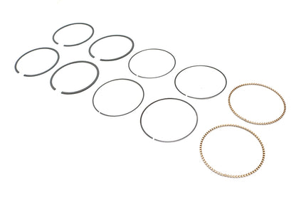 Hastings Rings 2M5538S-020 .020 Oversize Moly Piston Ring Set for 4.0-Inch Bore