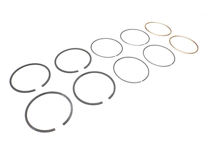 Hastings Rings 2M5538S-020 .020 Oversize Moly Piston Ring Set for 4.0-Inch Bore