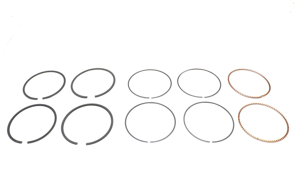 Hastings Rings 2M5538S-010 .010 Oversize Moly Piston Ring Set for 4.0-Inch Bore