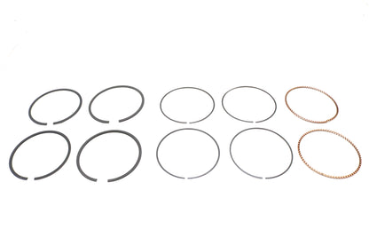 Hastings Rings 2M5538S-010 .010 Oversize Moly Piston Ring Set for 4.0-Inch Bore