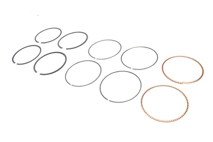 Hastings Rings 2M5538S-010 .010 Oversize Moly Piston Ring Set for 4.0-Inch Bore