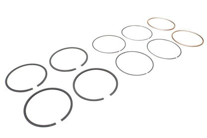 Hastings Rings 2M5538S-010 .010 Oversize Moly Piston Ring Set for 4.0-Inch Bore