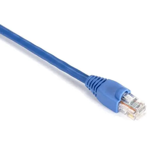 Black Box GigaBase Cat. 5e UTP Patch Network Cable – 1 Foot Blue, High-Speed Ethernet & PoE Ready