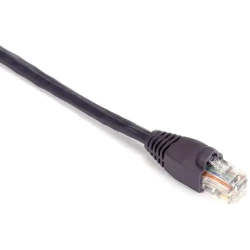 Black Box GigaBase Cat5e UTP Patch Network Cable - Purple, 10 ft