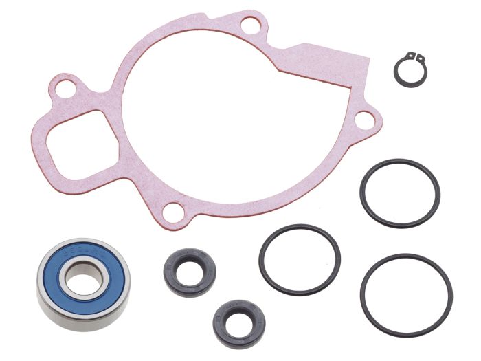 Psychic Water Pump Repair Kit - Part Number MX-10204