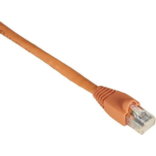 Black Box GigaTrue Cat.6 UTP Patch Cable - 50-Micron Gold-Plated Contacts, 550 MHz, Orange, 10 ft