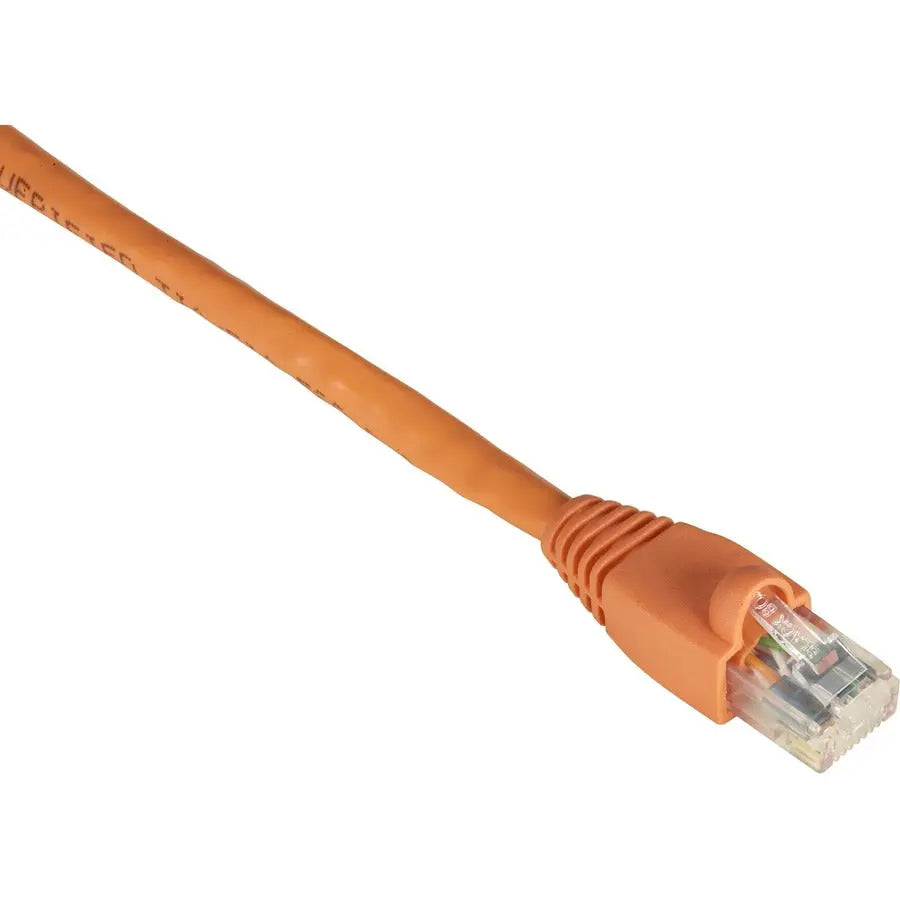 Black Box GigaTrue Cat.6 UTP Patch Network Cable - 50-Micron Gold Contacts, 550 MHz, Orange, 10 ft