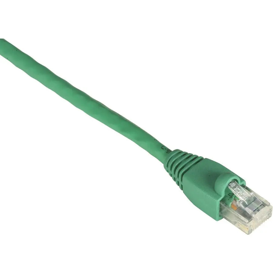 Black Box GigaTrue CAT6 UTP Patch Network Cable - 1 Foot, Green