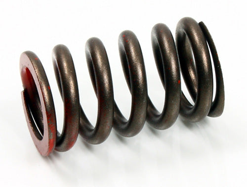 Psychic XU-09528ES Exhaust Valve Spring for Engine Performance