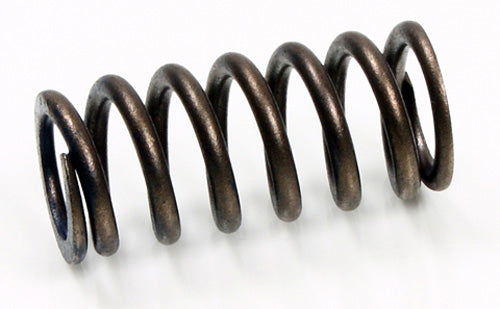 PSYCHIC Intake Valve Spring XU-09519IS for Automotive Engines