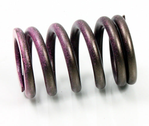 Psychic Intake Spring for Kawasaki KX250F - Part Number XU-09539IS