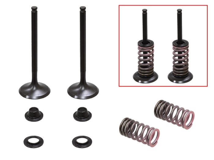 Psychic Exhaust Valve Kit XU-09554EK for Automotive Applications