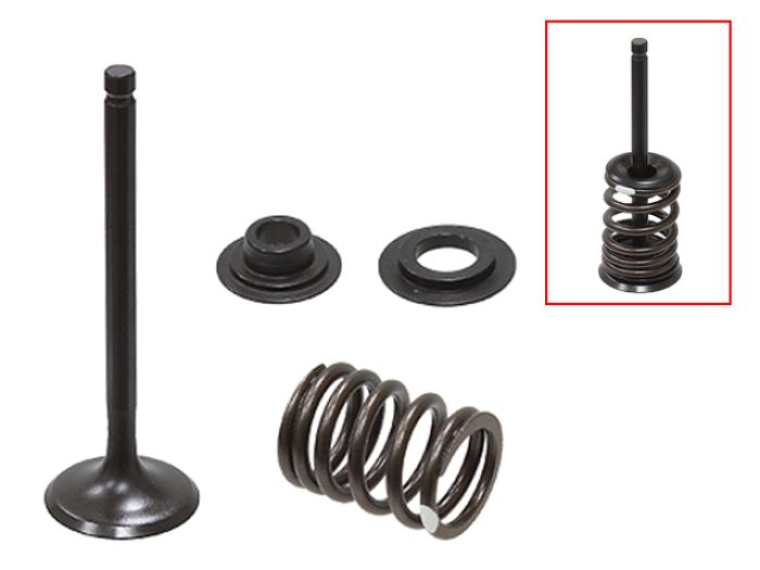 Psychic Intake Valve Kit XU-09558-1IK for Automotive Applications
