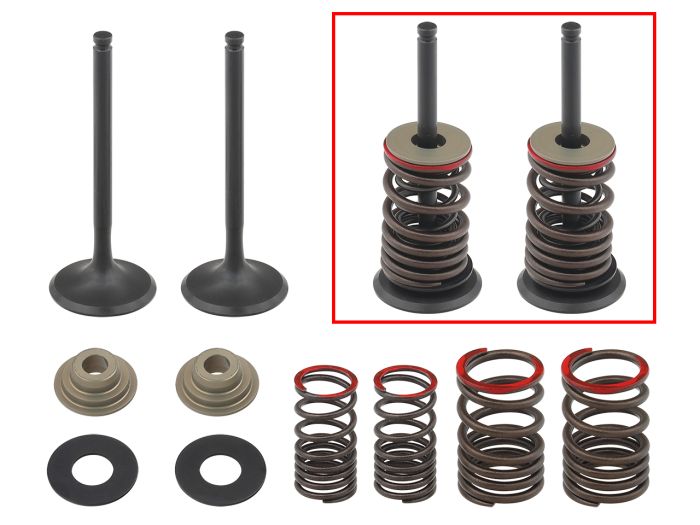 PSYCHIC Exhaust Valve Kit XU-09164EK – Precision Engine Valve Replacement