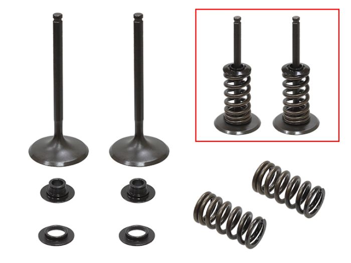 Psychic Intake Valve Kit XU-09555IK for Automotive Applications