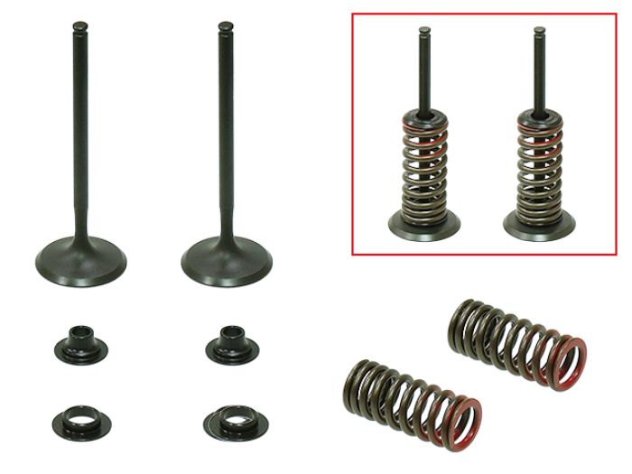 Psychic Intake Valve Kit XU-09523IK for Automotive Maintenance